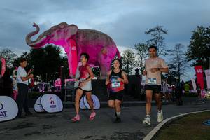 BIB: 
                            <button type="button" onclick="openModal(26529592)" class="btn btn-primary btn-sm float-right btn-popup" data-toggle="modal" data-target=".modal-high-quality">
                        <i class="fas fa-shopping-cart"></i> Add to Cart
                    </button>
                                            <button type="button" onclick="isThisMe(26529592, true)" class="btn btn-success btn-sm float-right btn-popup btn-isme hidden" data-toggle="tooltip" data-placement="bottom" title="นี่คือรูปของคุณใช่ไหม คลิกที่นี่เพื่อเอาเข้าอัลบั้ม">
                        <i class="fas fa-plus"></i> Add to album
                    </button>
                    <button type="button" onclick="isThisMe(26529592, false)" class="btn btn-warning btn-sm float-right btn-popup btn-isnotme hidden">
                        <i class="fas fa-ban"></i> Remove from album
                    </button>